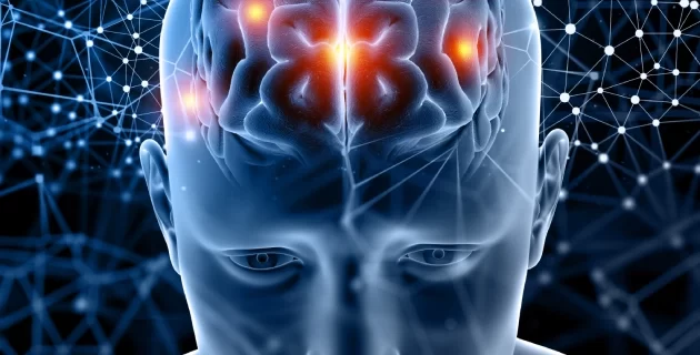 stroke (1) stroke